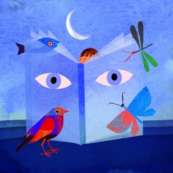 giulia-orecchia-illustrazione-1